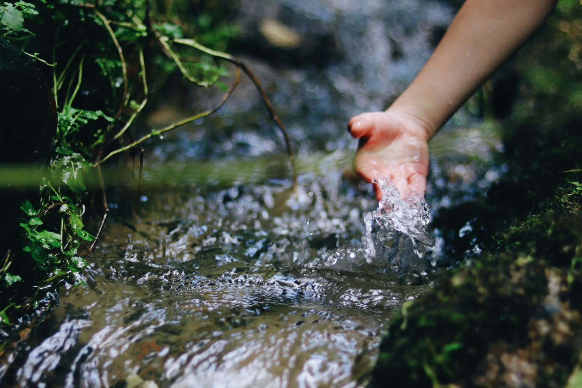 How To Drink in the Wild without Regret