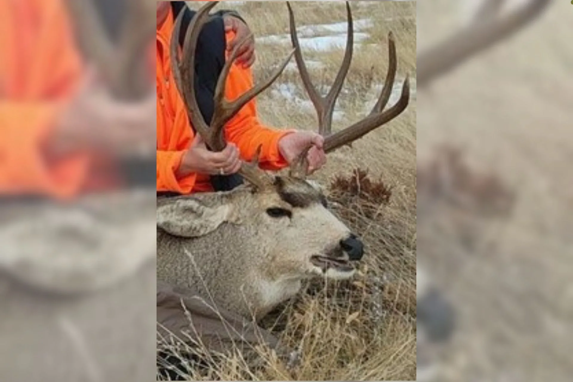 FWP Reports that North Dakota couple plead guilty to hunting violations