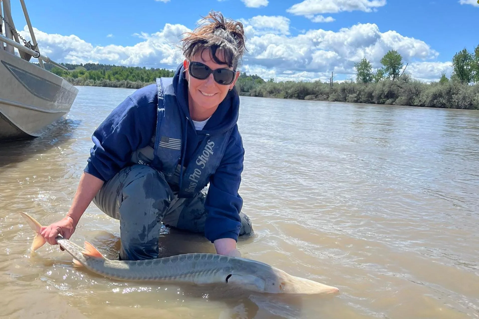 Chasing pallids for proof of spawning