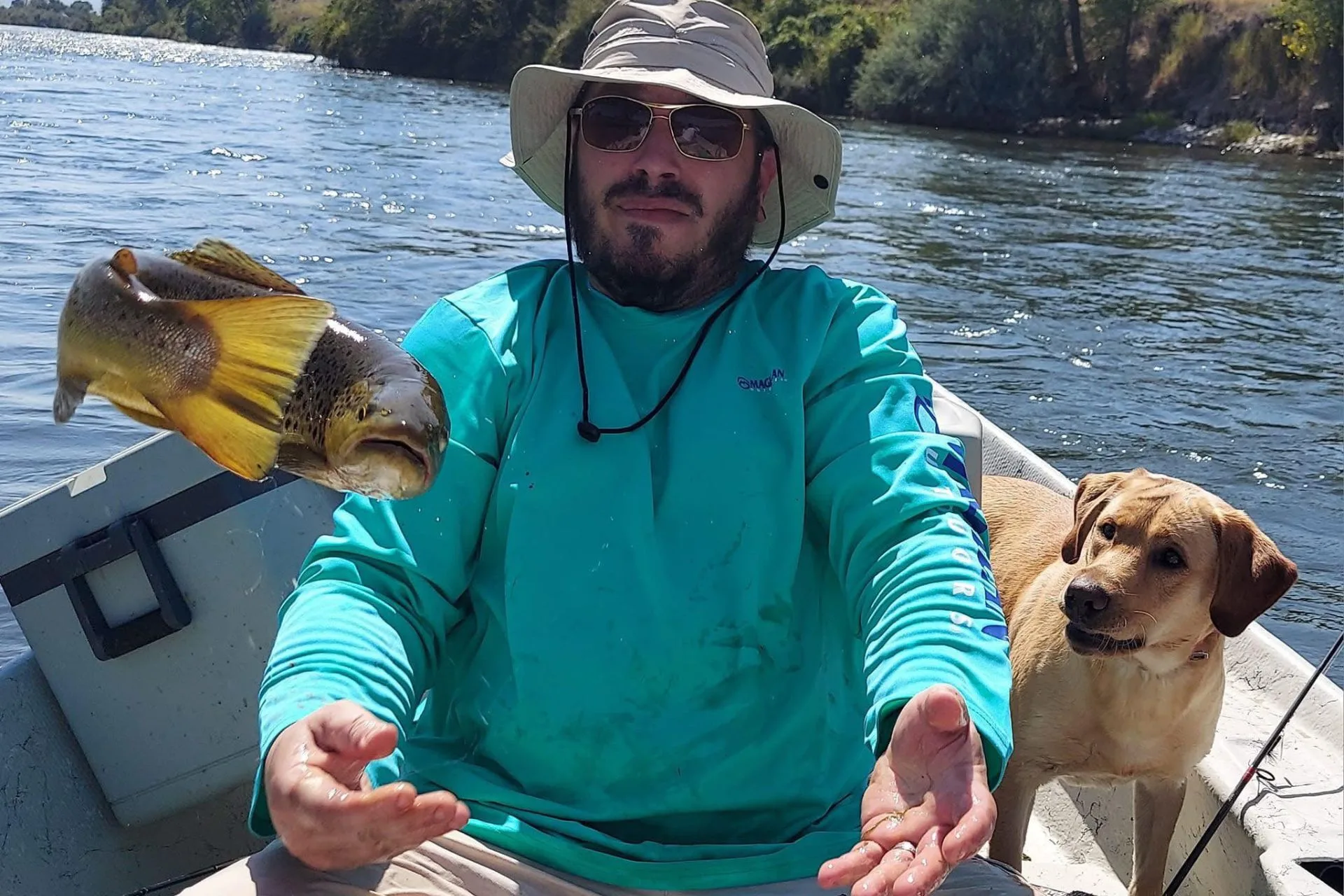 Bighorn Fishing Report and a Trout Glamour Shot
