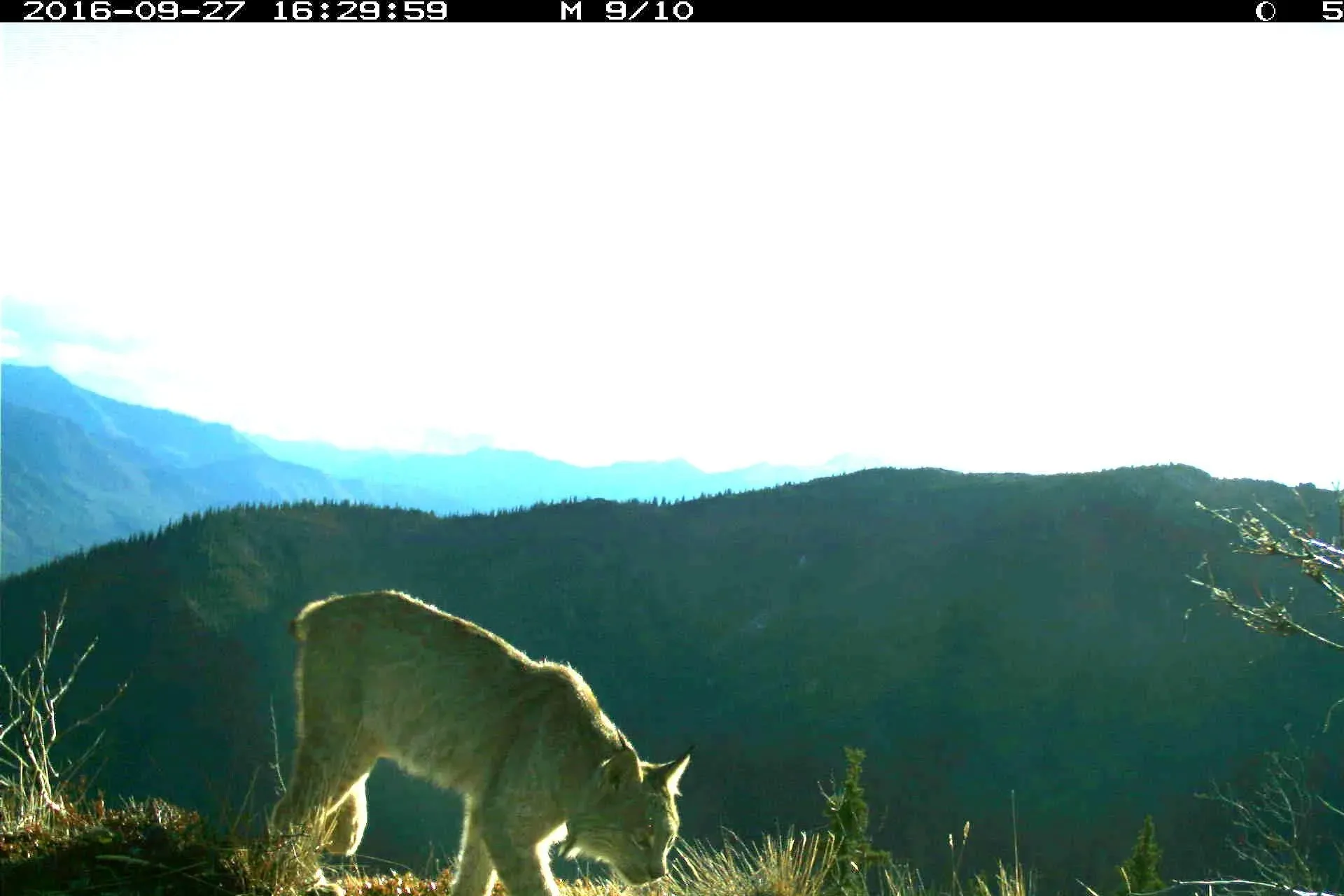 Zinke’s requests for clean water infrastructure, ESA reform, and forest management pass full committee markup