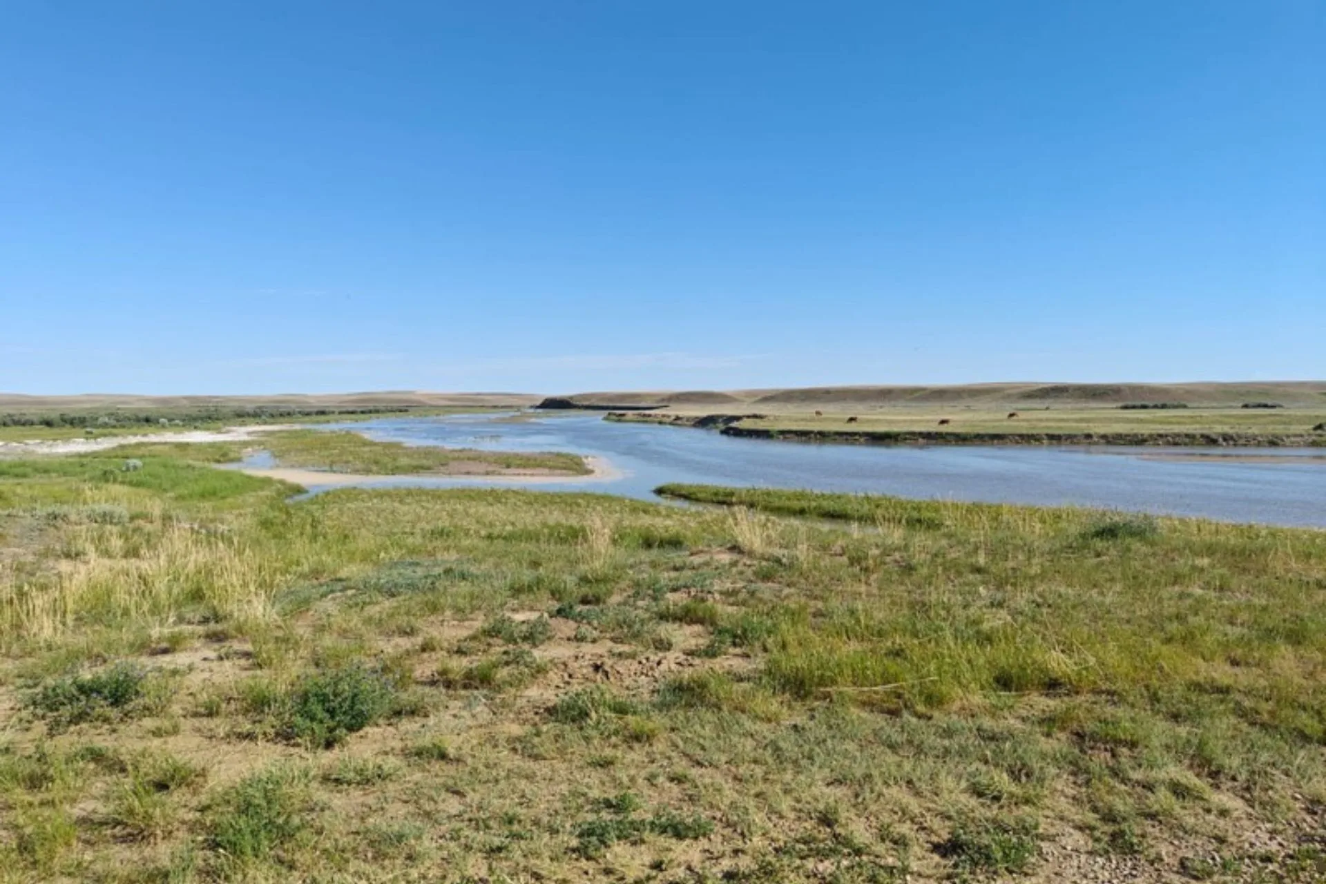 The Milk River Project Update 7.2.25