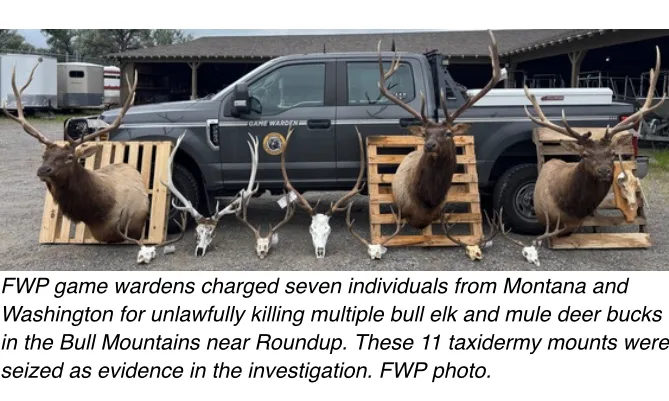 Seven suspects charged by FWP in Bull Mountains poaching case