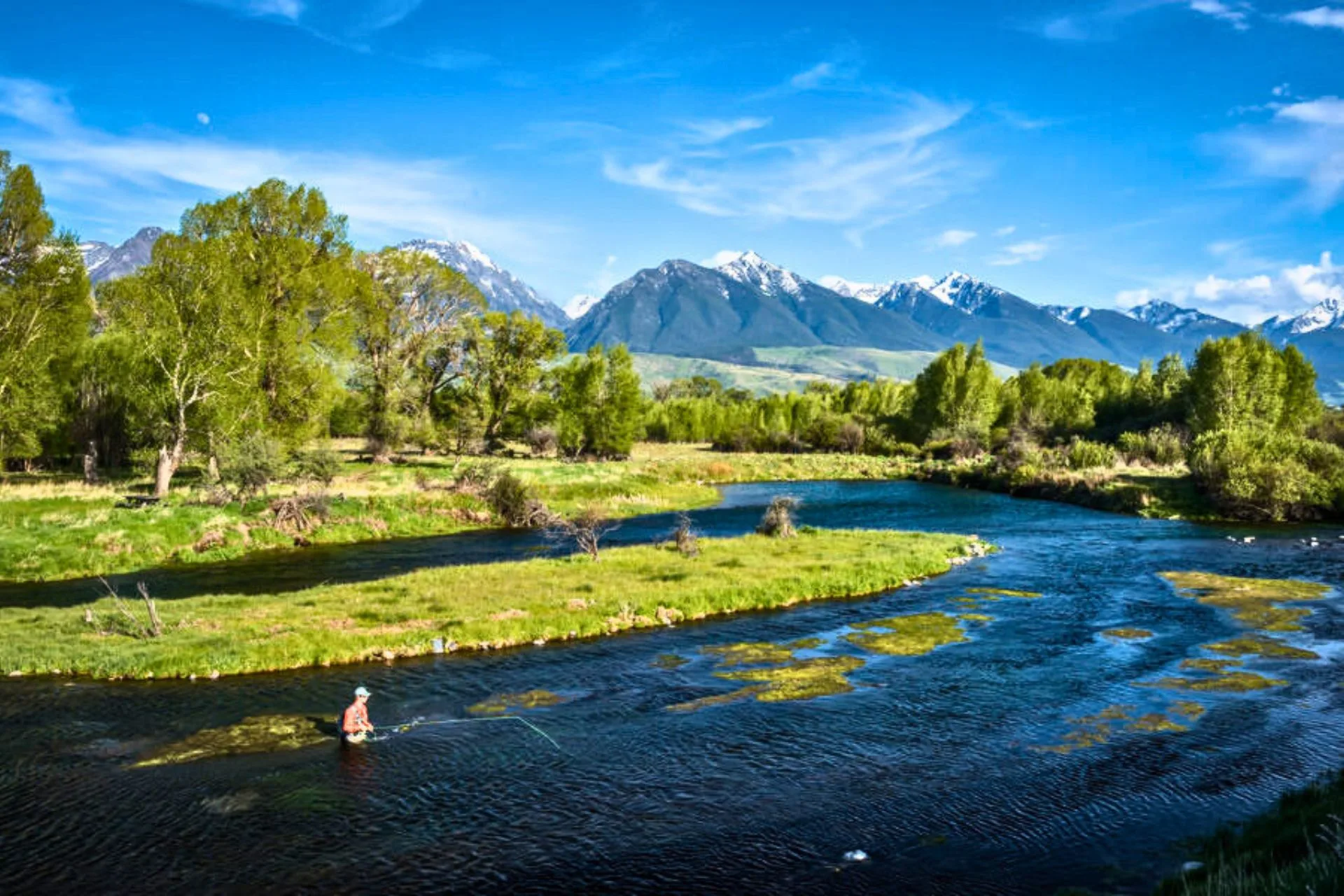 SW Montana Fishing Report Overview 6.30.25