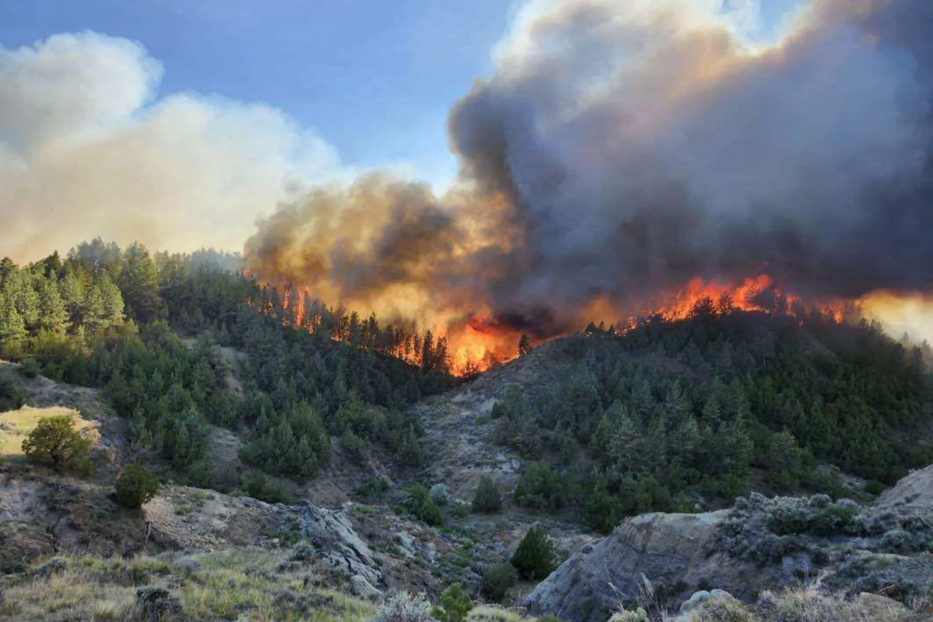 Dawson County Fire Fast, Unpredictable
