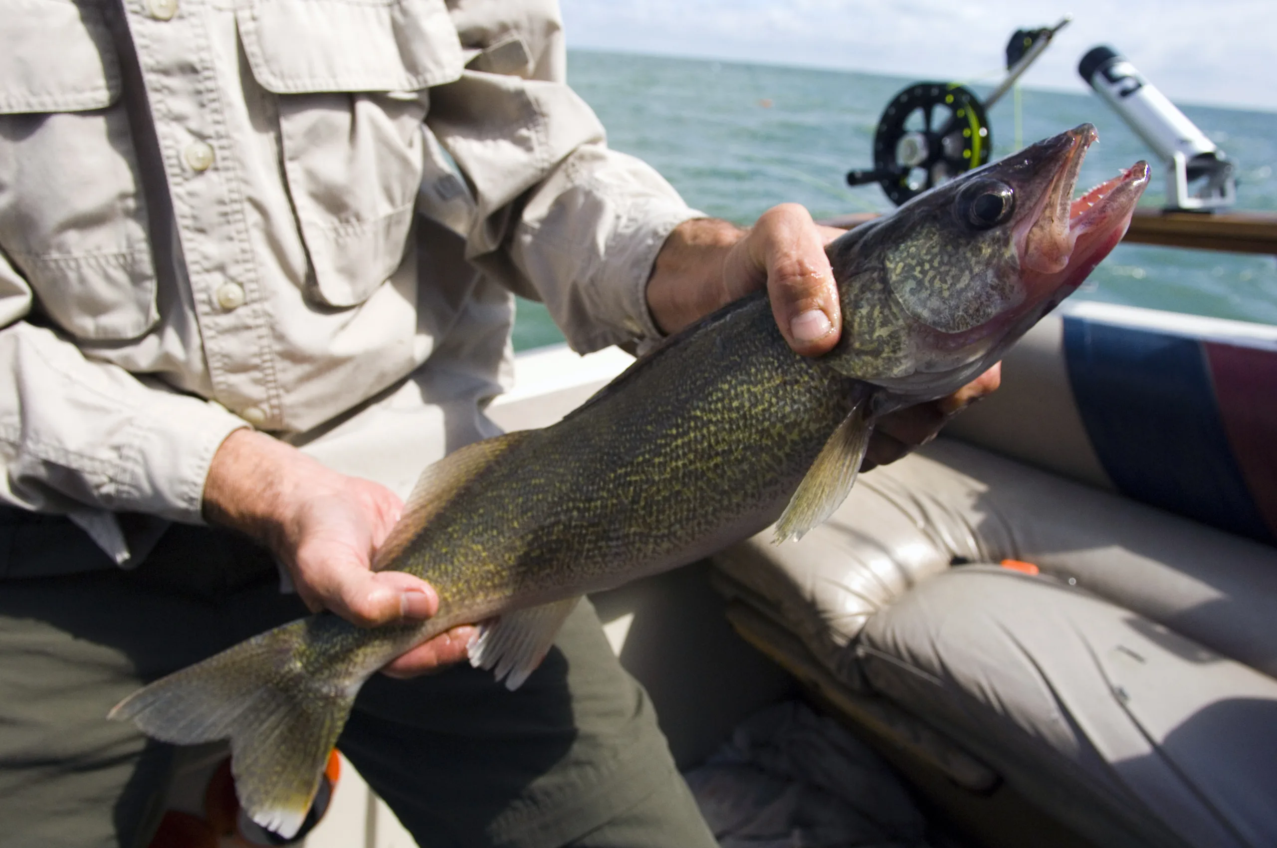 Day 1 leaders for 2025 Hell Creek Walleye Tournament