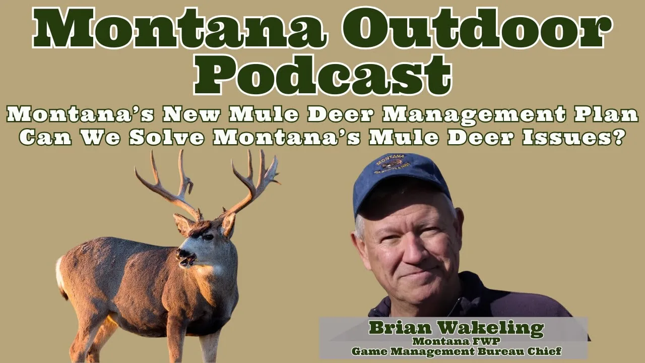 MORS Podcast: Montana’s New Mule Deer Management Plan – Can We Solve Montana’s Mule Deer Issues