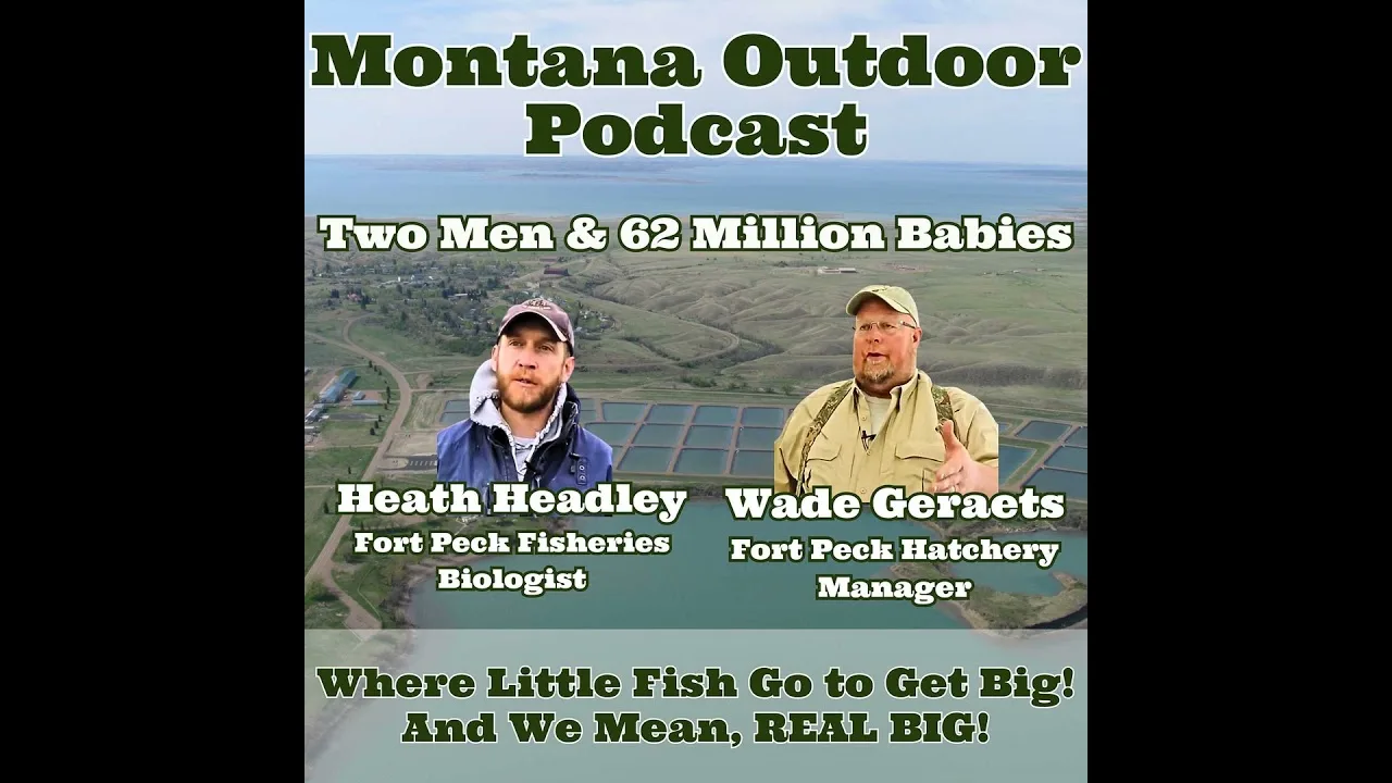 MORS Podcast: The Walleye Egg Collection Just Wrapped Up! Will There Be Enough To Stock Montana?