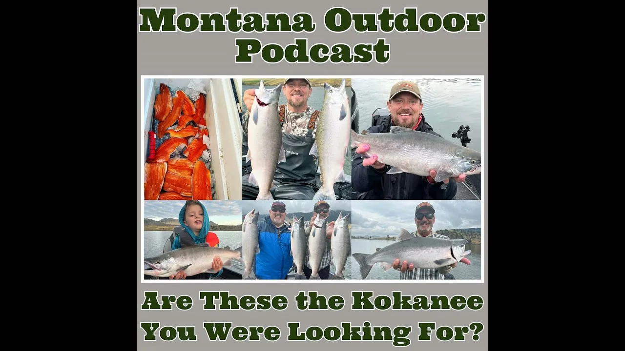 MORS Podcast: How to Find and Catch HUGE Kokanee Salmon in Holter and Hauser Reservoirs!