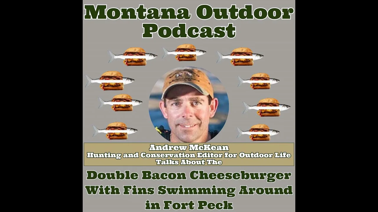 MORS Podcast: What Fish is Like a Double Bacon Cheeseburger and Why is it Having Such an Effect on Fort Peck Re…