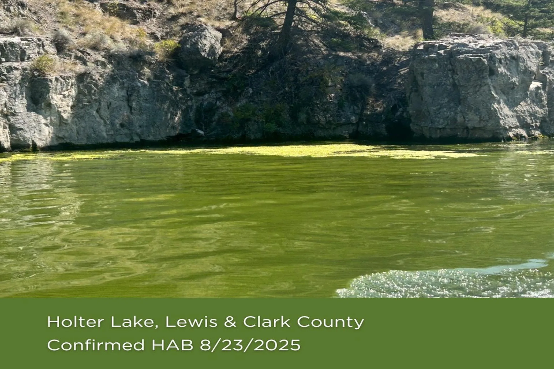 Harmful algal blooms confirmed on several Montana waterbodies