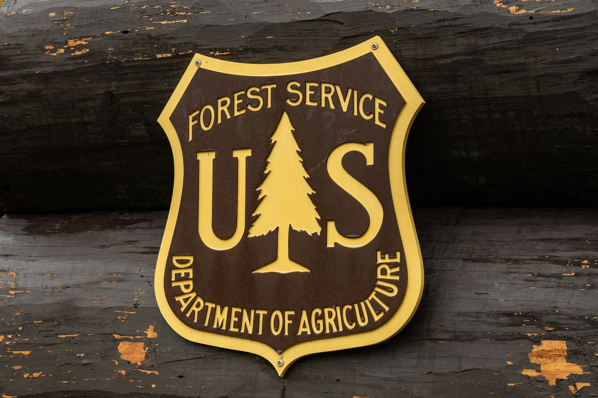 Culvert replacement projects begin on Red Meadow Road 115 and Moose Creek Road 210C