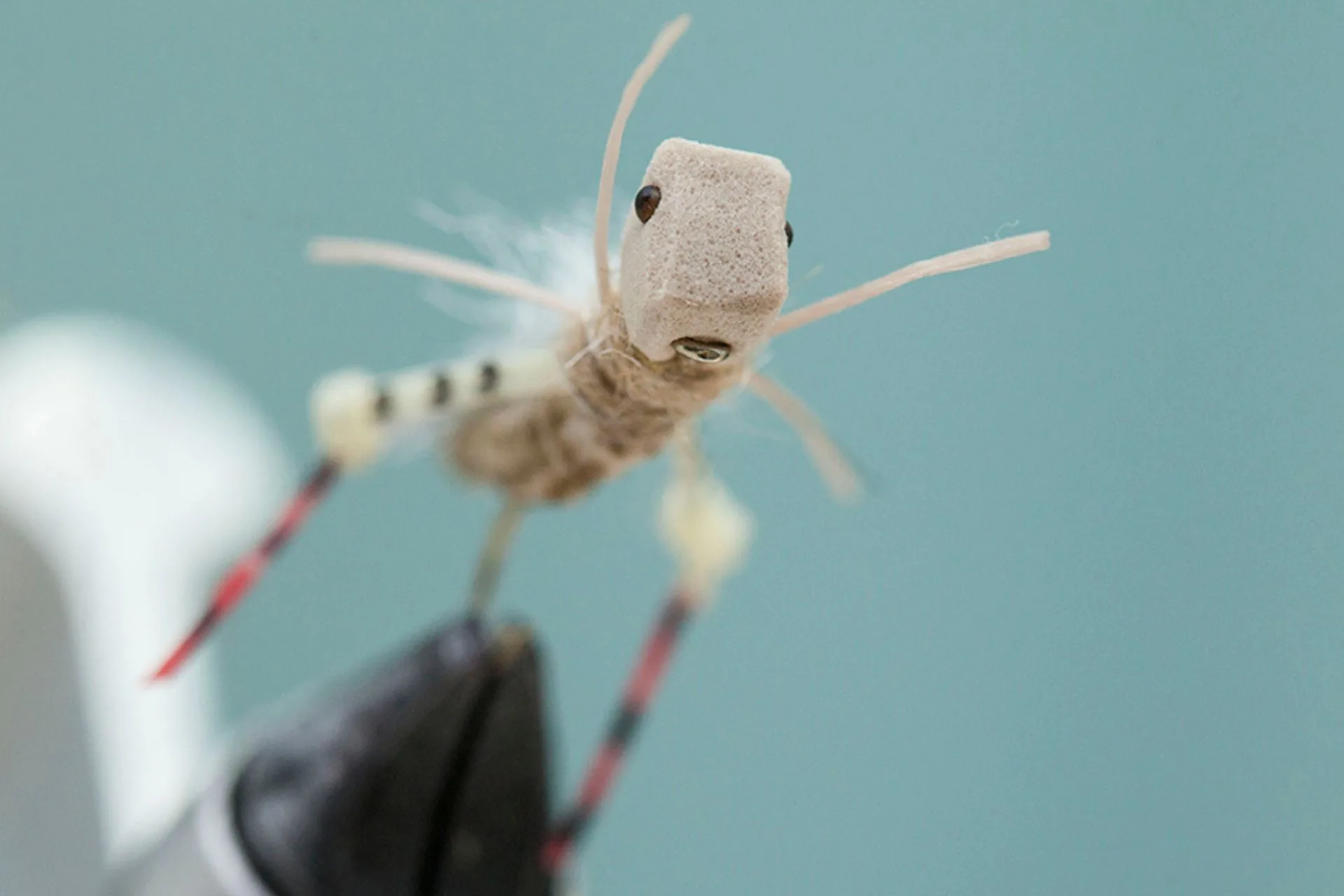 Float a Nymph