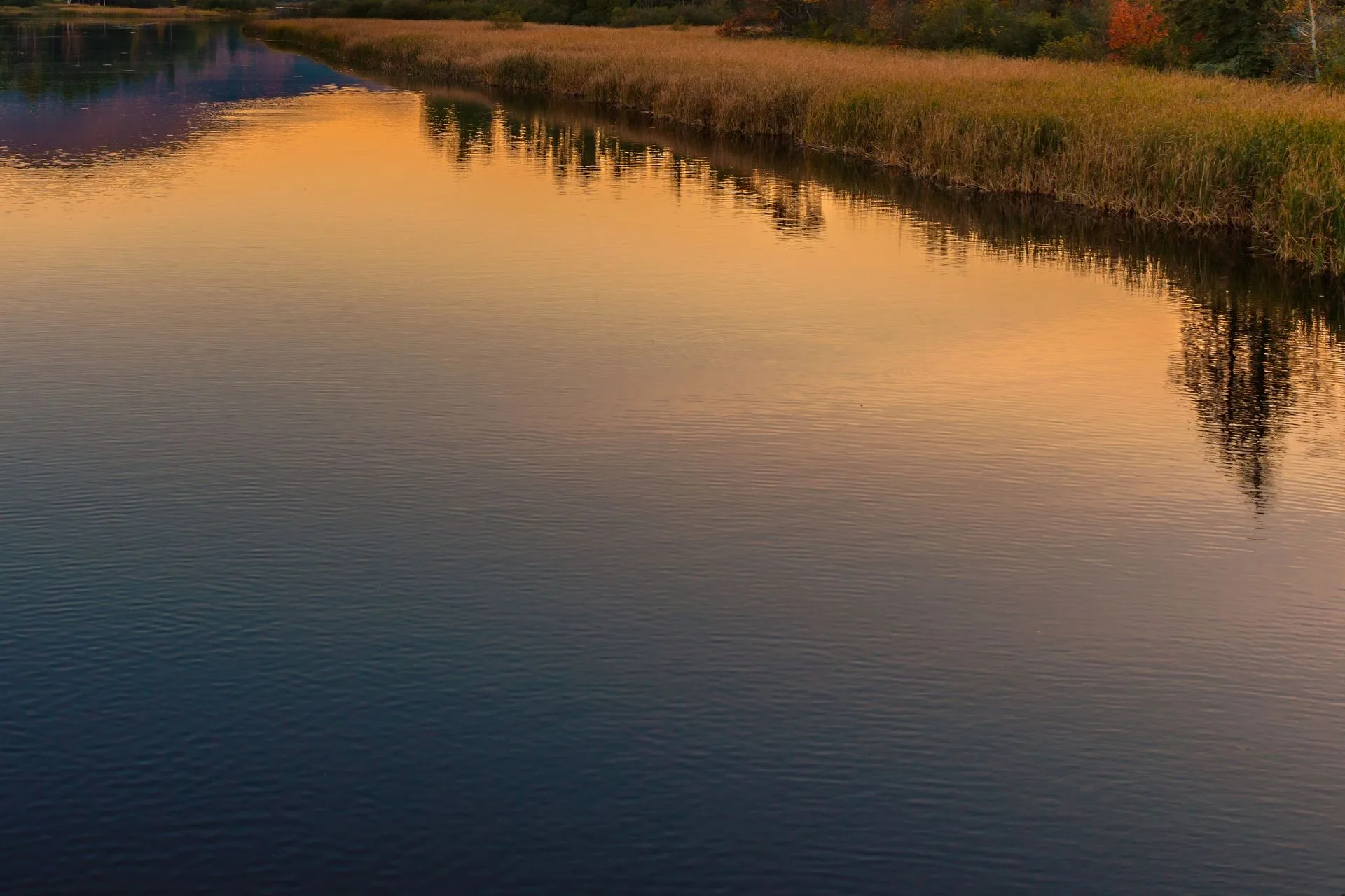 Fishing restrictions lifted today on sections of several rivers
