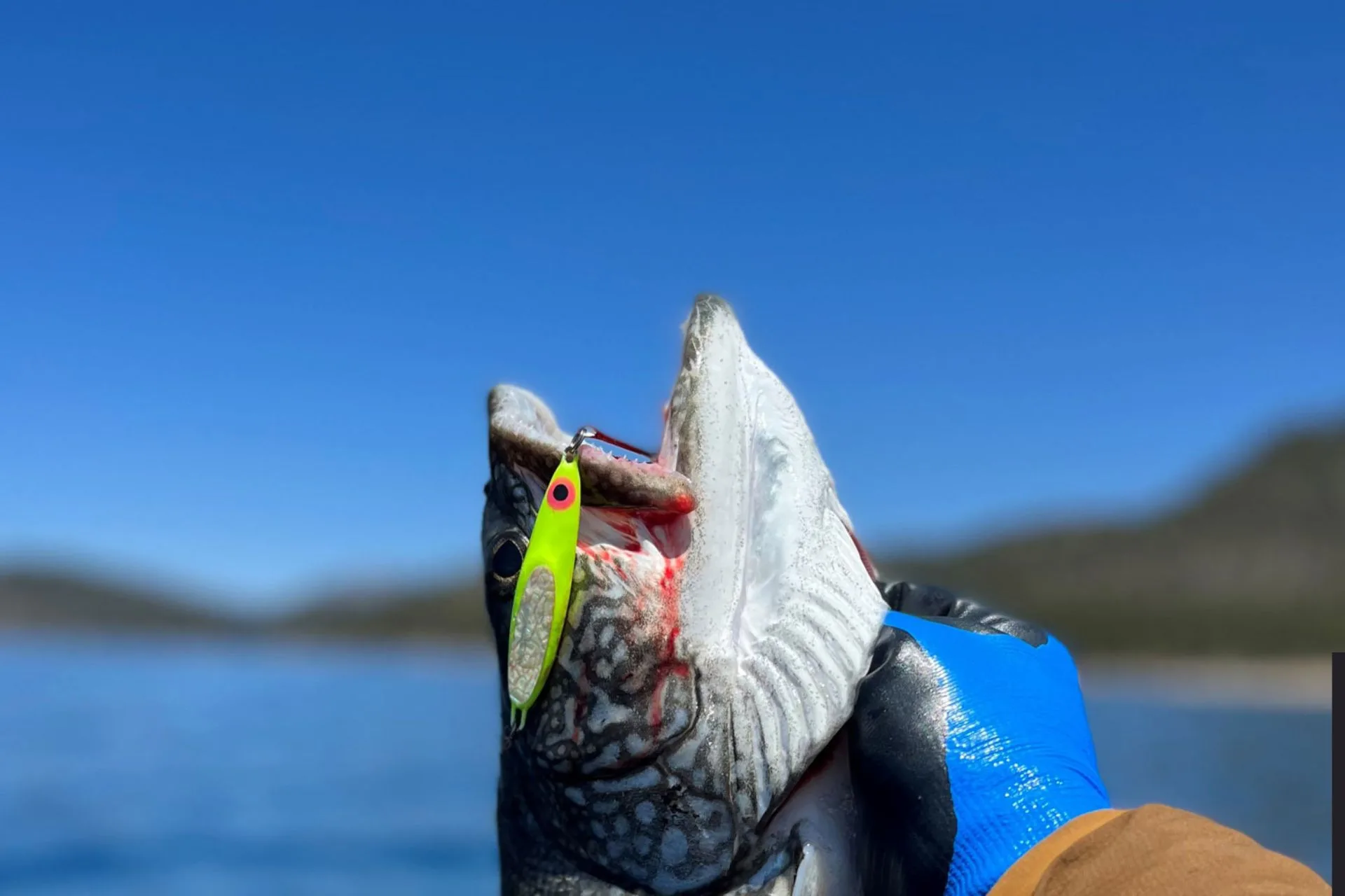 Macman’s Fishing Report 9.23.25