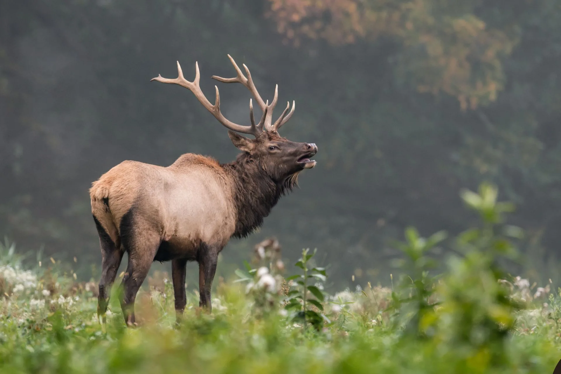 Revamped Hunter Landowner Stewardship Program launches