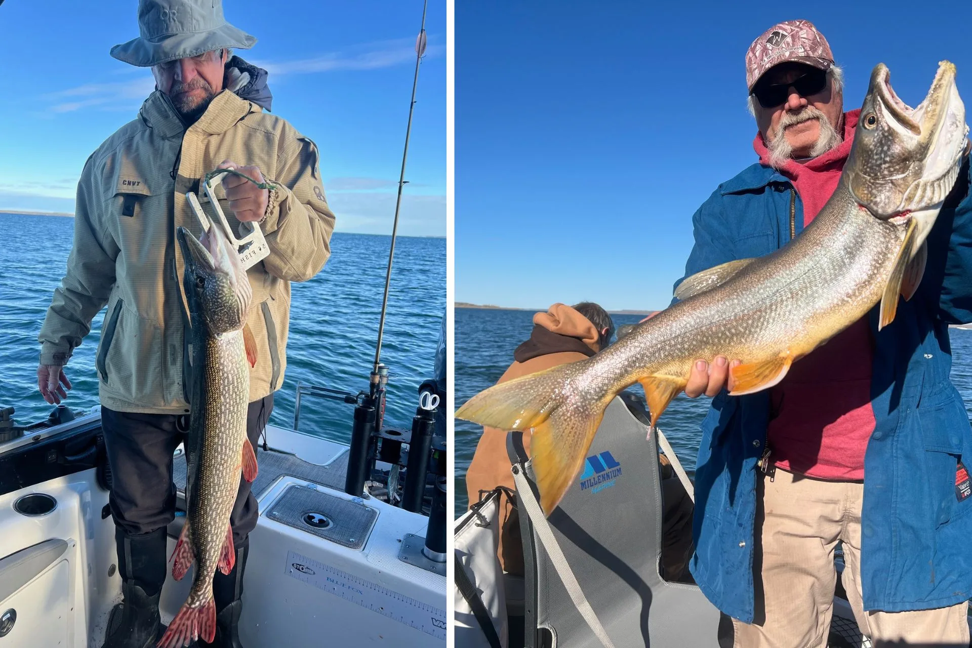 Don Wilkins’ Weekly Fort Peck Fishing Report 10.23.25