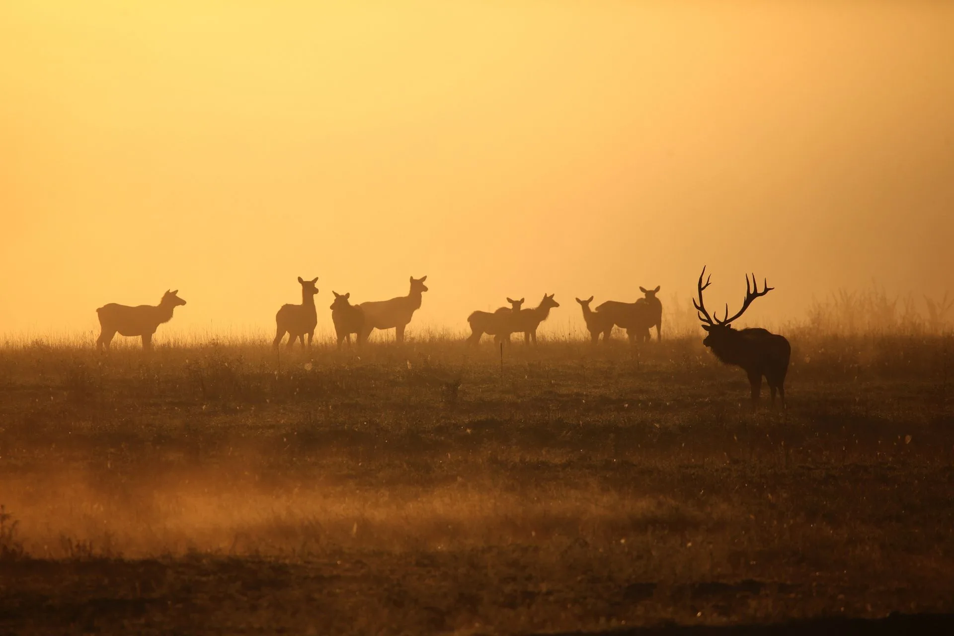 10 Common Hunting Mistakes to Avoid