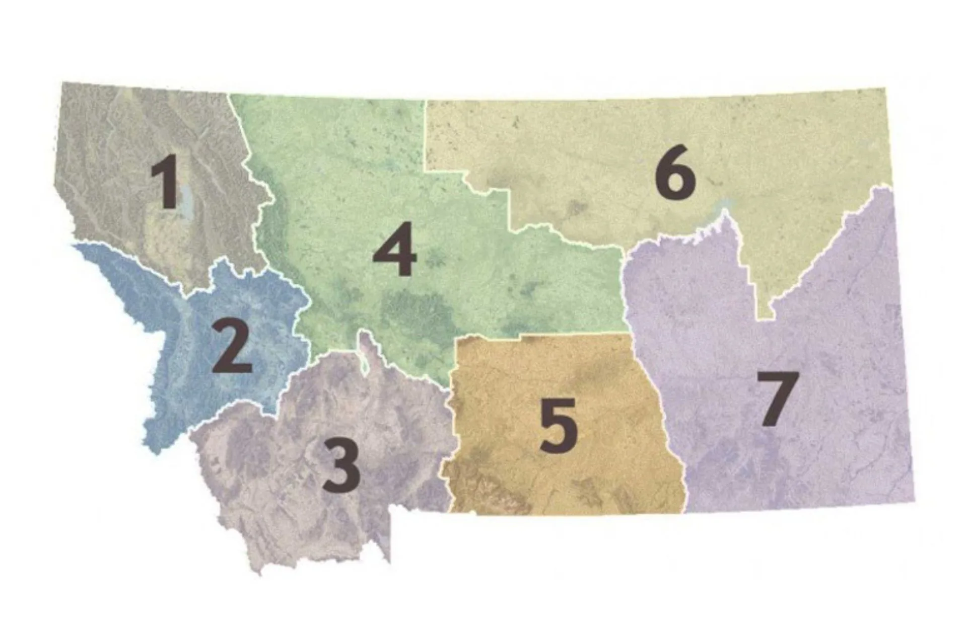 R3 Check Station Harvest Results Nov 8-9, 2025