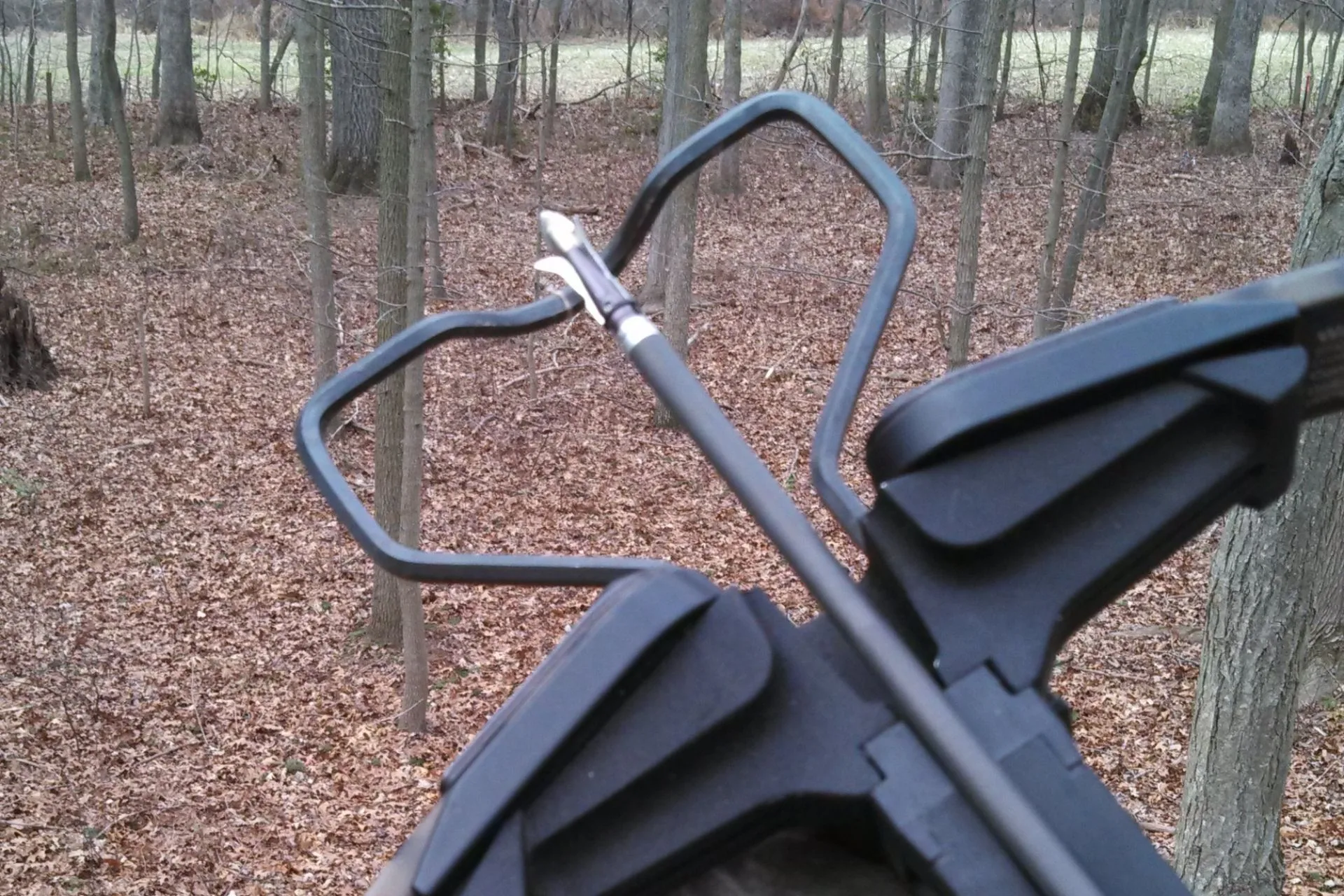 Stick and String