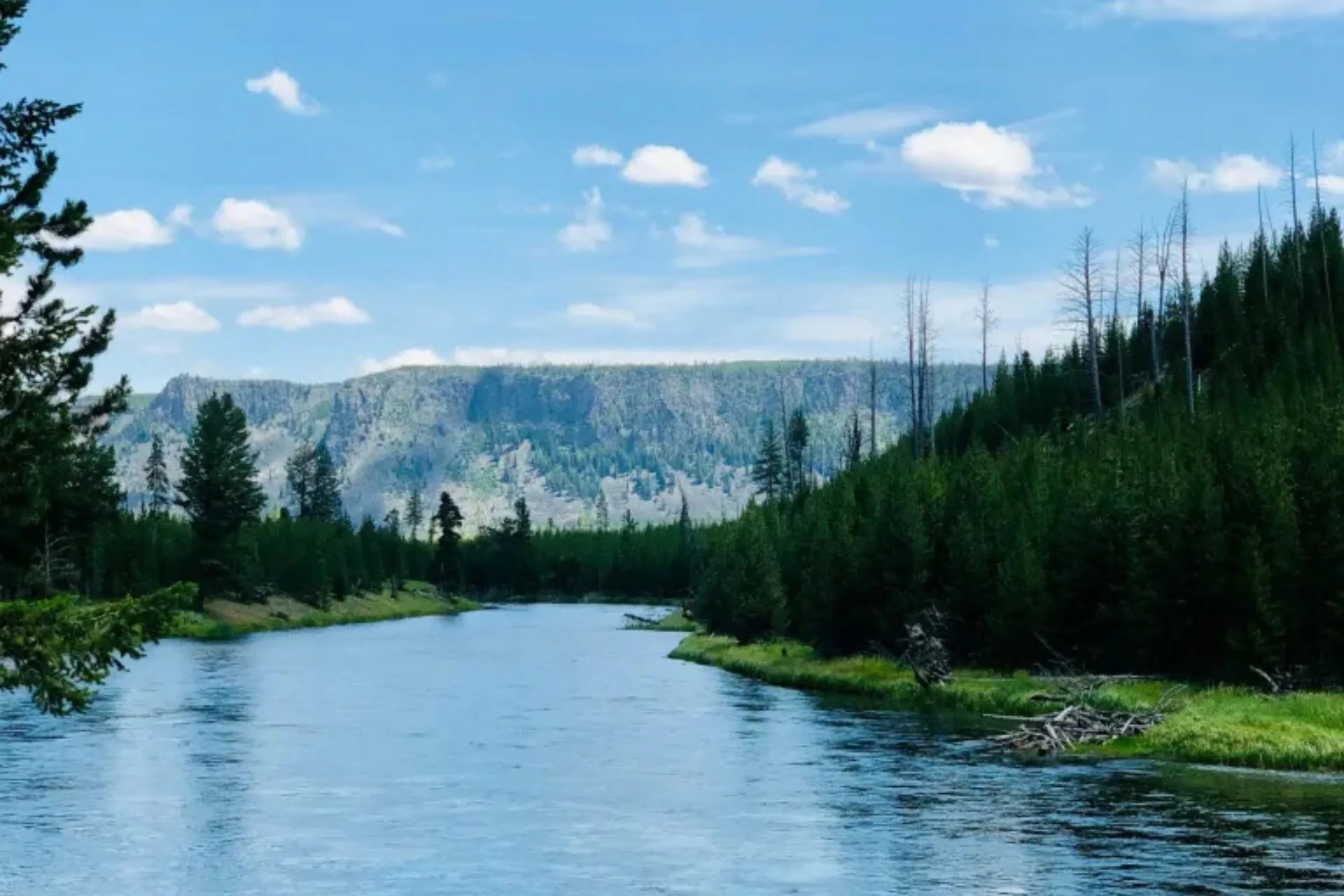 Montana Trout Report for October 2025