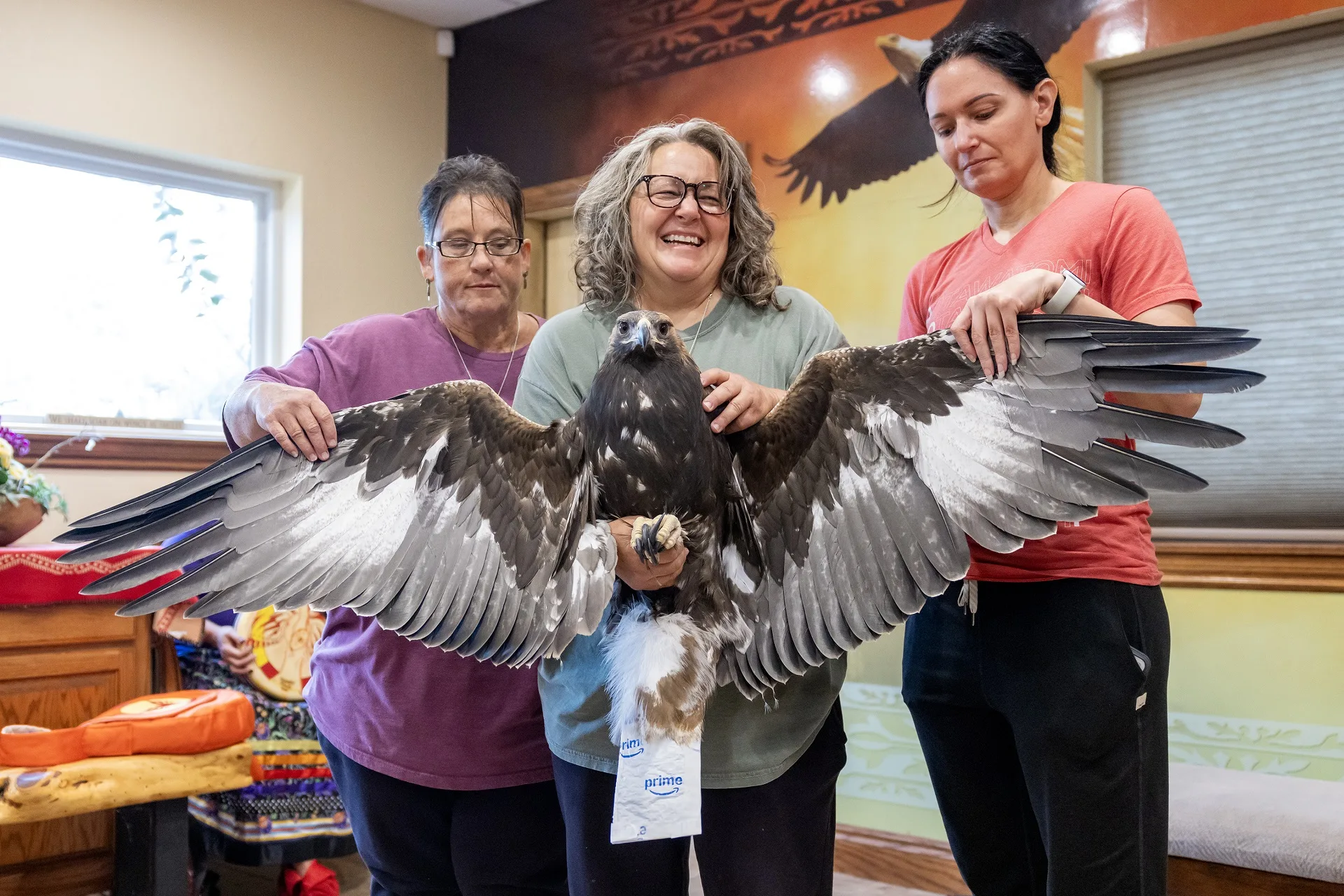 2 golden eagles released near White Sulphur Springs