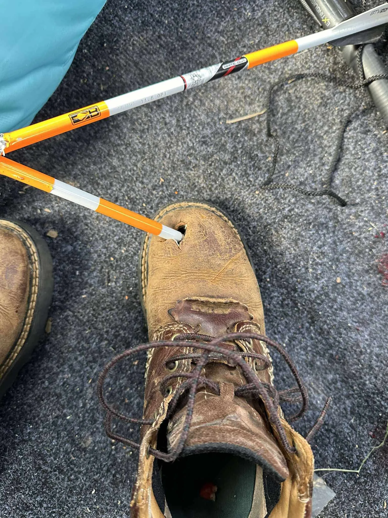 When the Hunter Becomes the Target…Accidentally