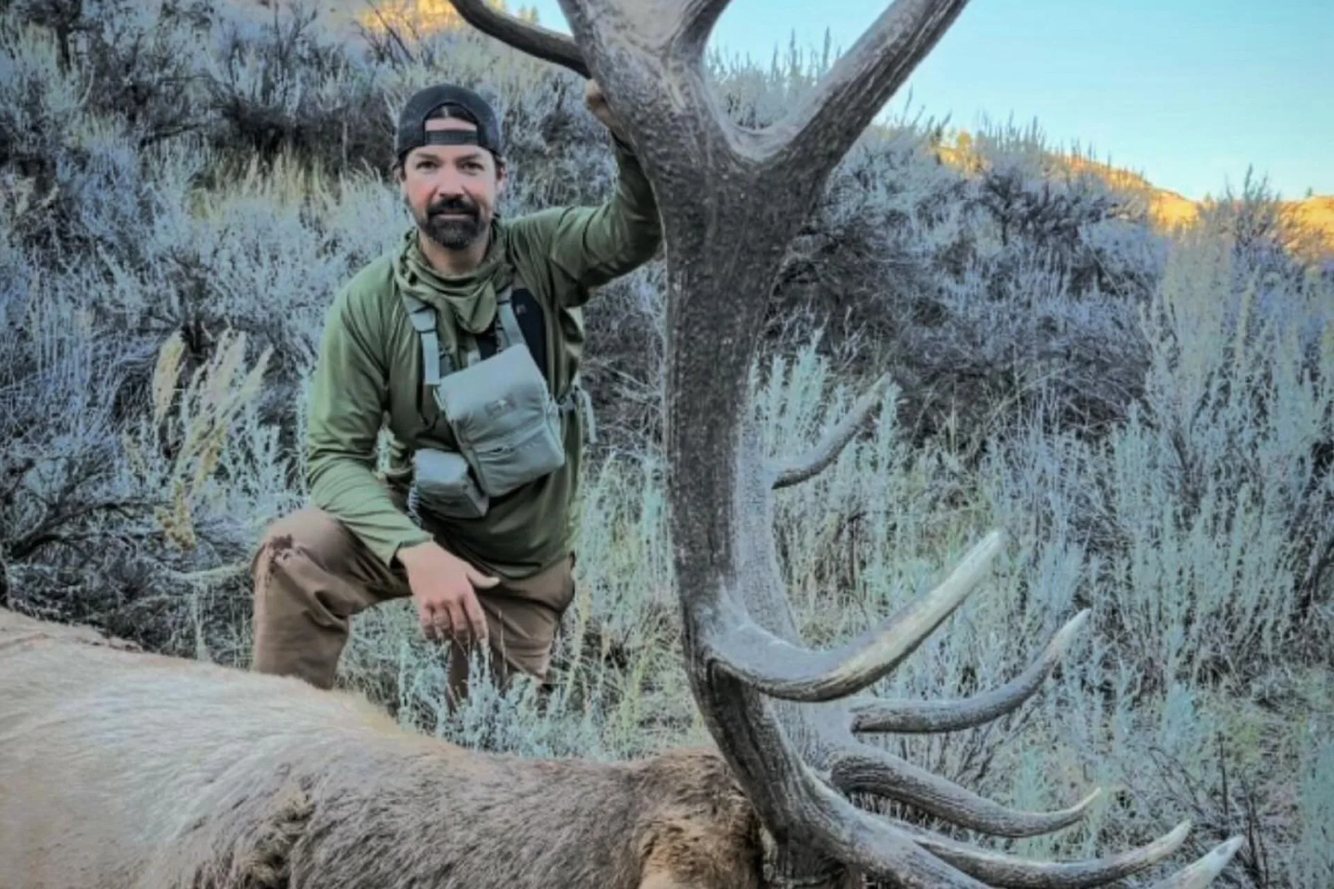 Big Bull Elk Down