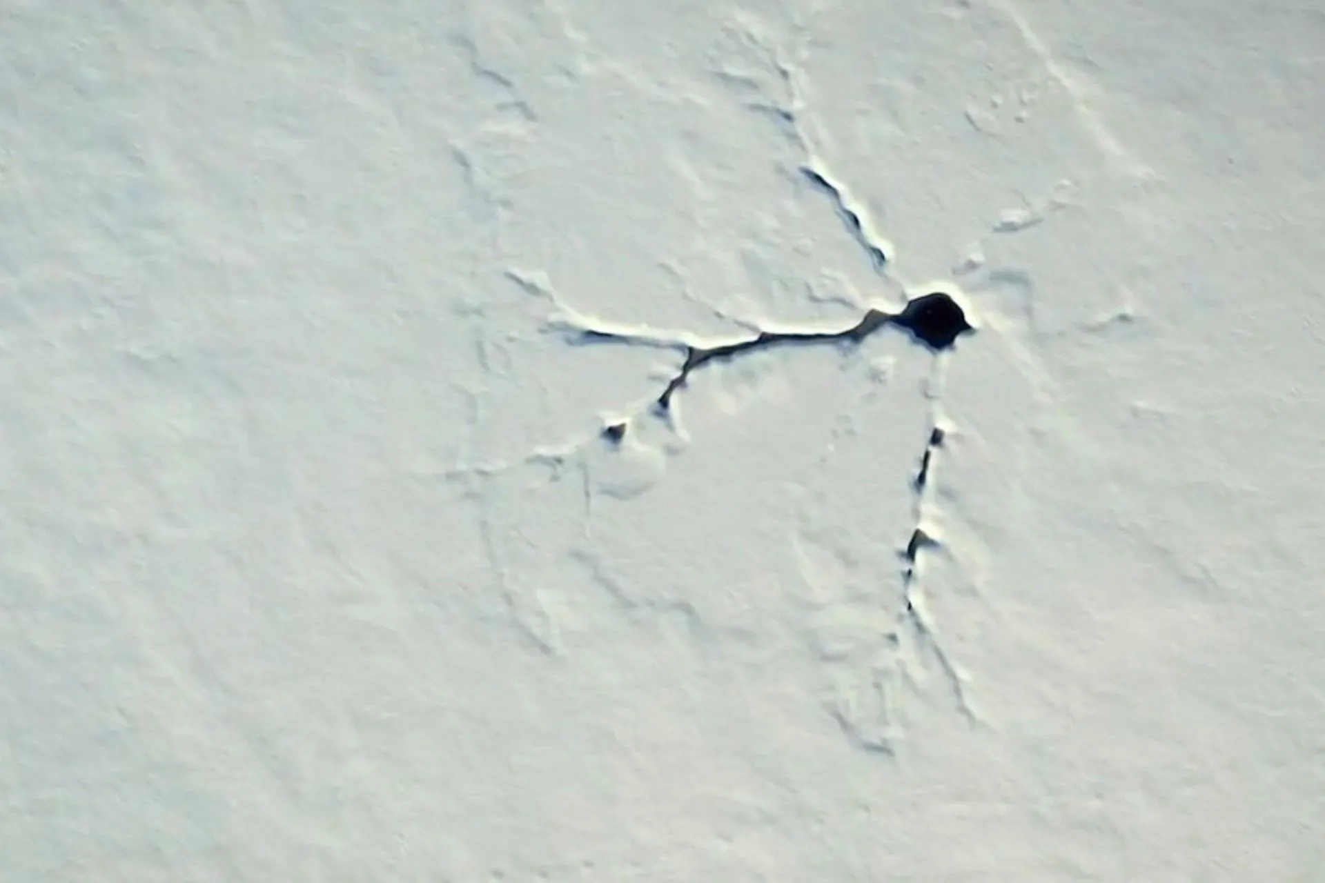 Frozen Fun Doesn’t Have to Be Risky—Watch This First!