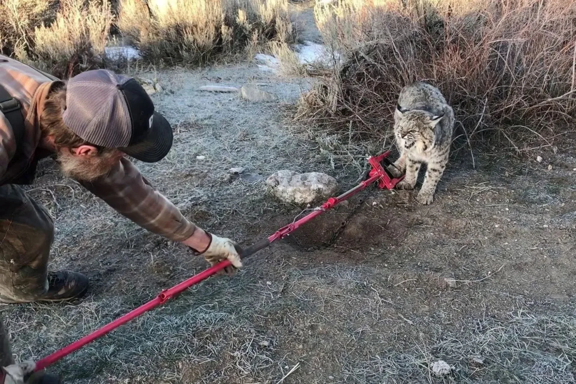 A Gift for Trappers That They Will Actually Use