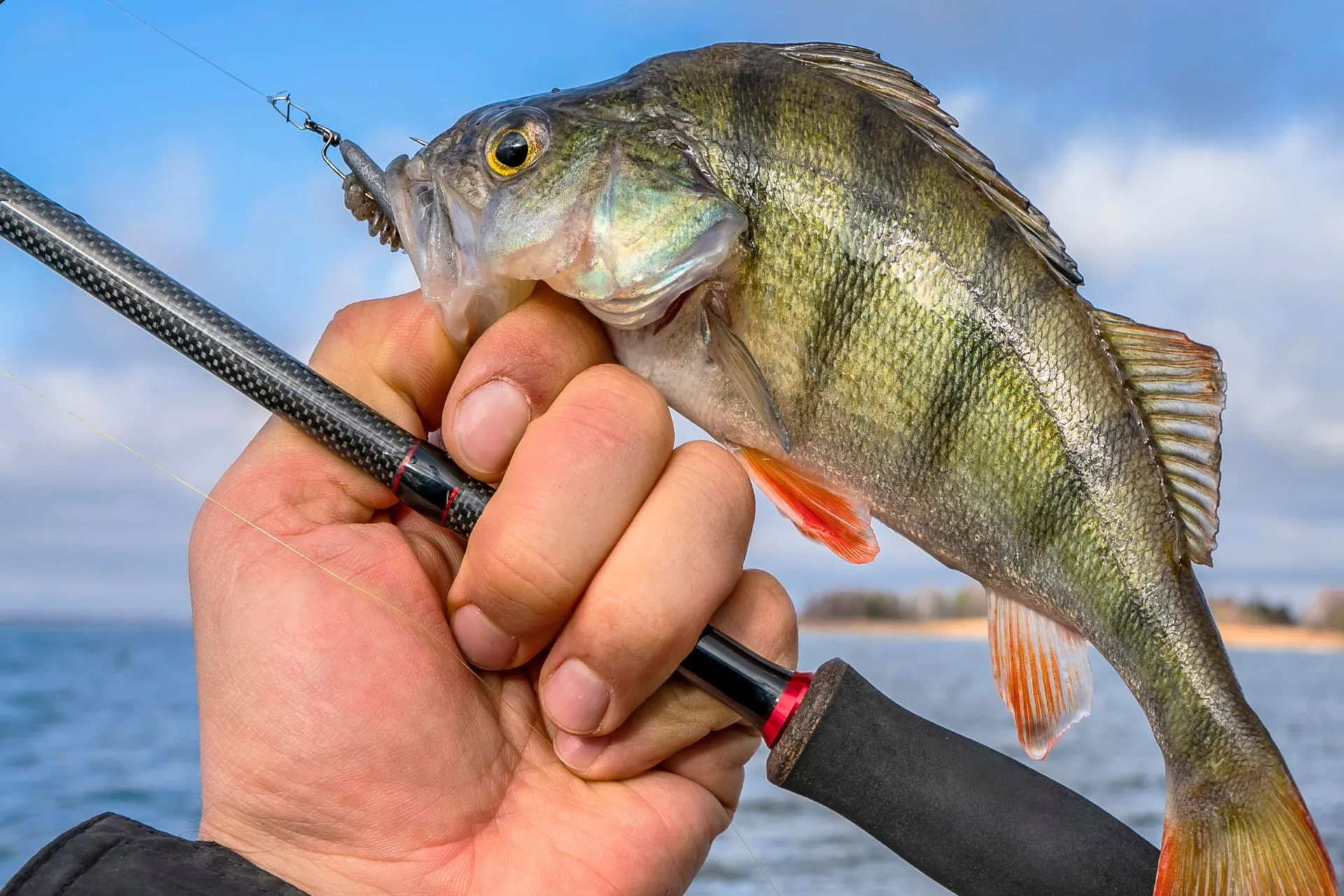 Northwest Montana: Macman’s Fishing Report 1.15.26