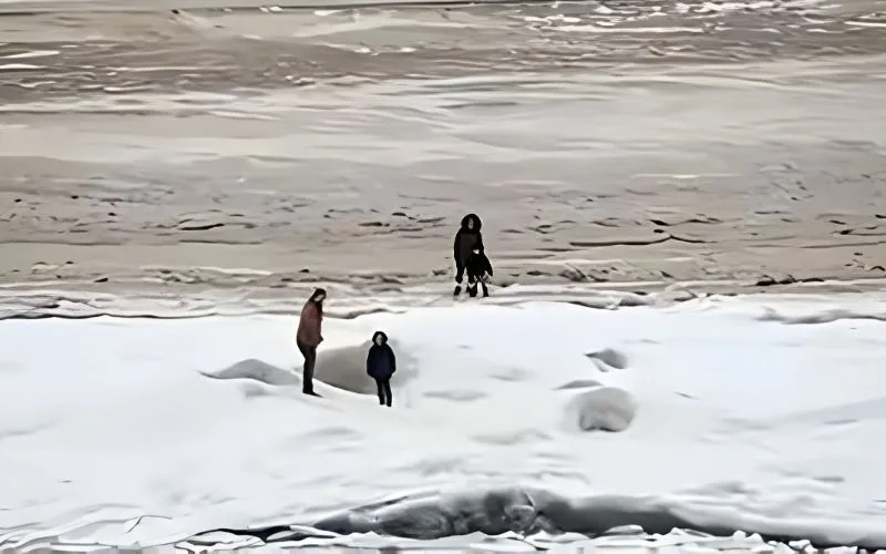 Why You Should Avoid Ice Shelves at All Costs