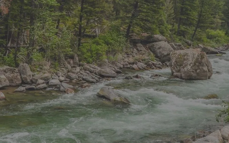 Gallatin River Fishing Report 1.20.26