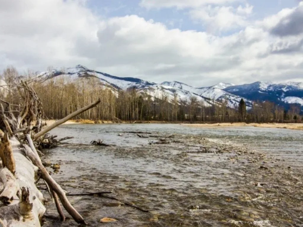 Bitterroot River Fishing Report (Feb 25, 2026): Late-Winter Flows, Best Nymphs, Midges & Streamer Tips