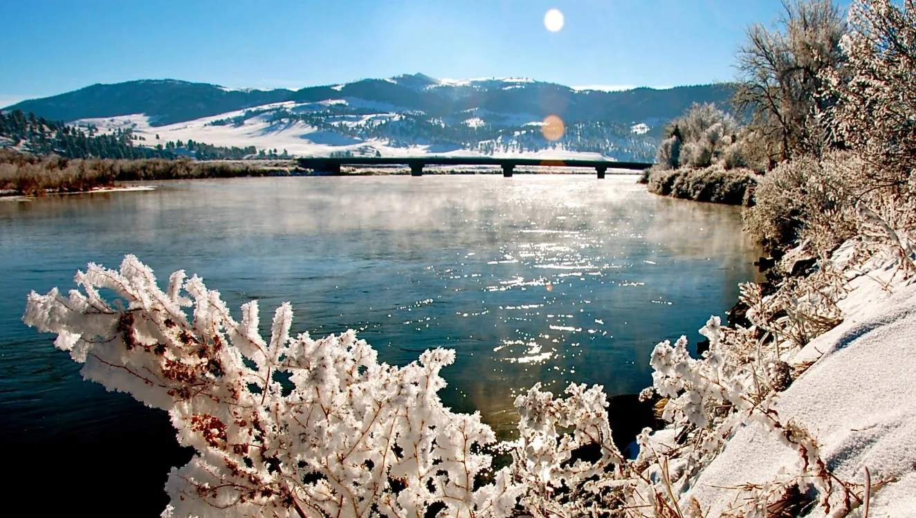 Missouri River Fishing Forecast (February 2026): Midges, 36°F Water Temps, and Winter Streamer/Trout Spey Opportunities in Craig, MT