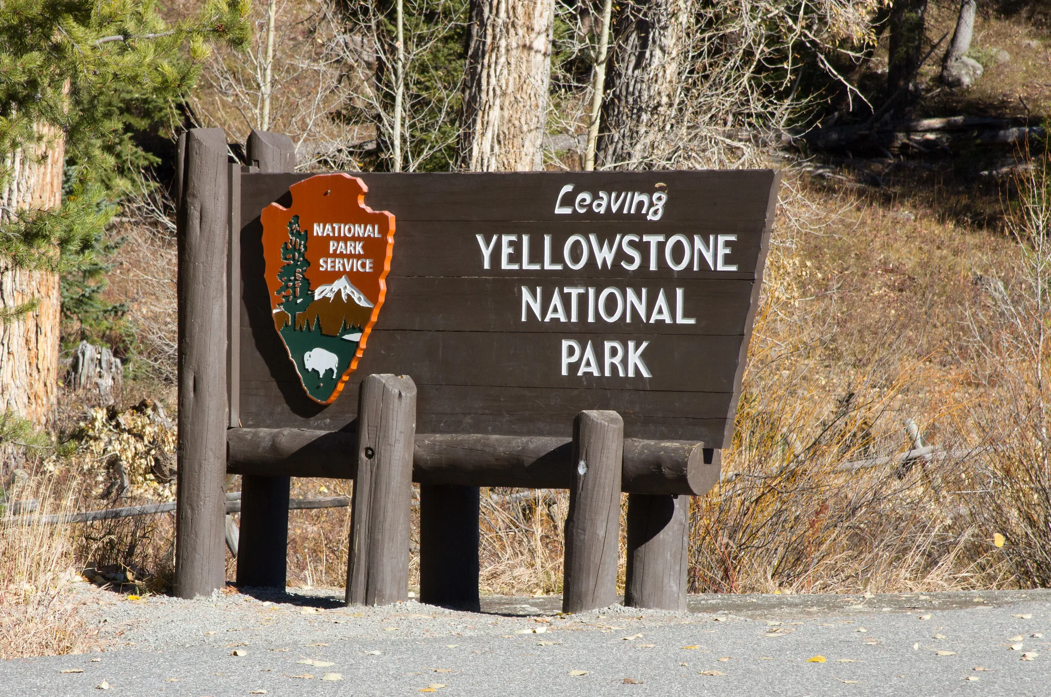 Texas Man Sentenced After Firearm Discovered During Yellowstone Traffic Stop
