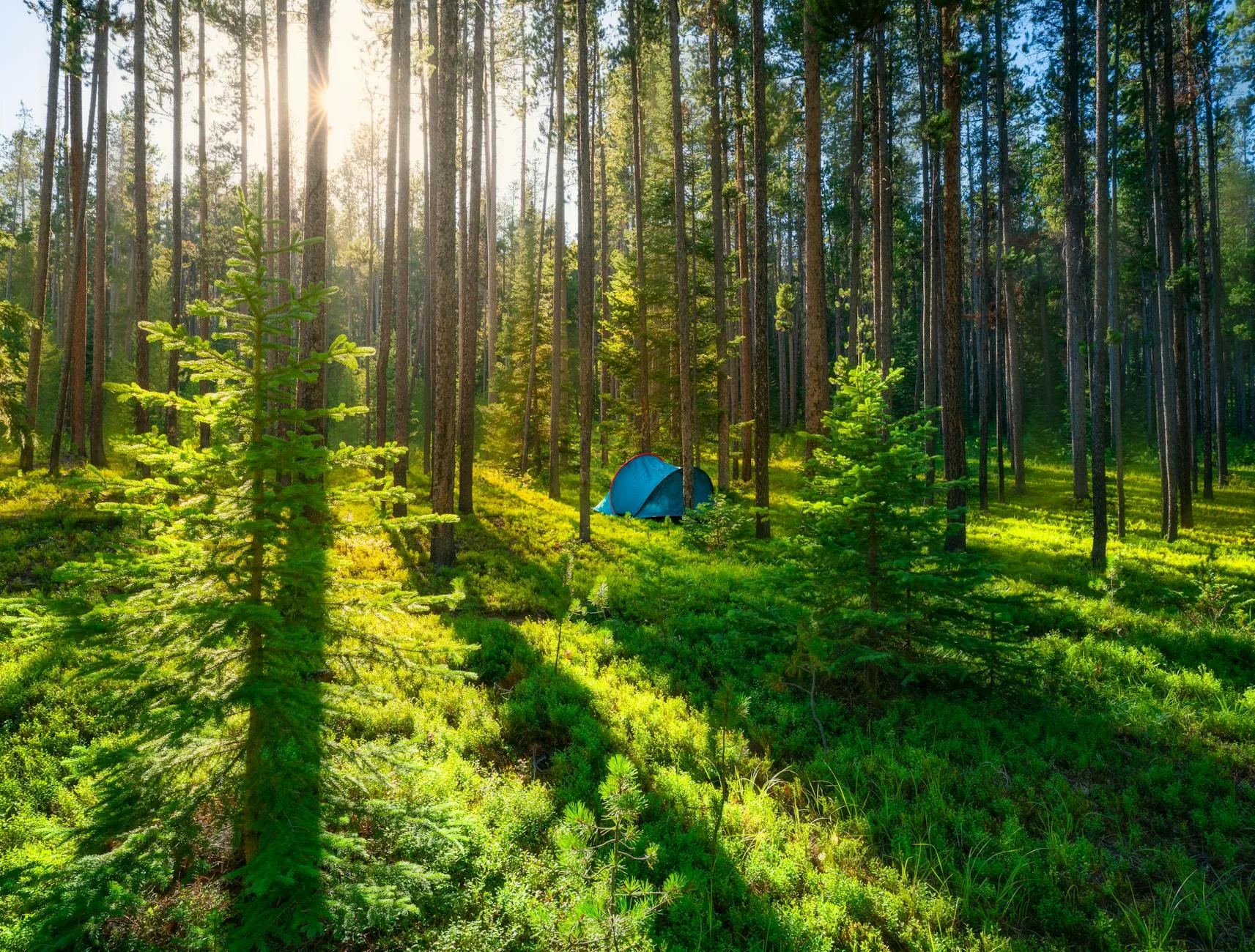 Montana’s $3.8B Outdoor Boom: What 32,000 New Jobs Mean for Your Hunting Season