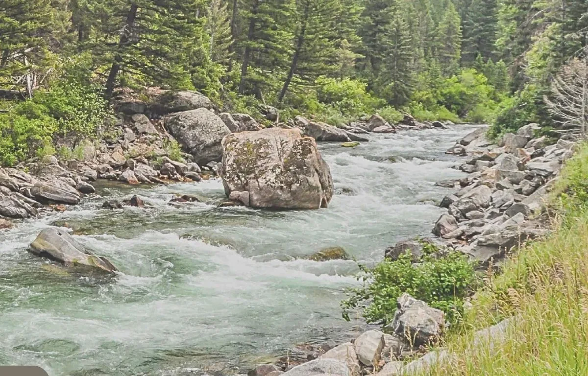 Best Nymph Rigs for the Gallatin River (Plus Top Flies & Where to Fish at 301 CFS)