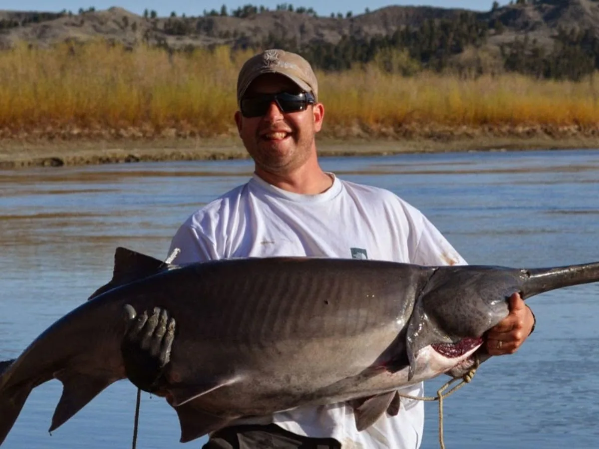 Paddlefish Permit Deadline Approaches: Apply by April 1
