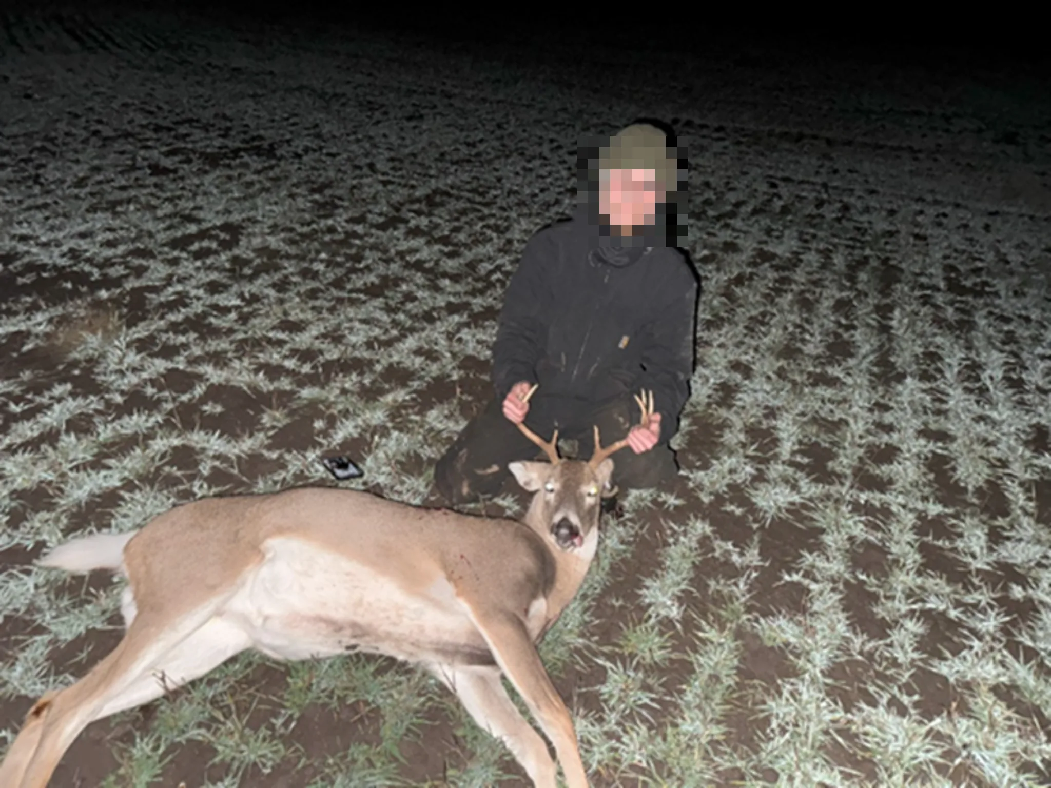 North Idaho Poaching Case: Coeur d’Alene Man Sentenced for Unlawfully Killing 3 White-Tailed Deer and an Elk