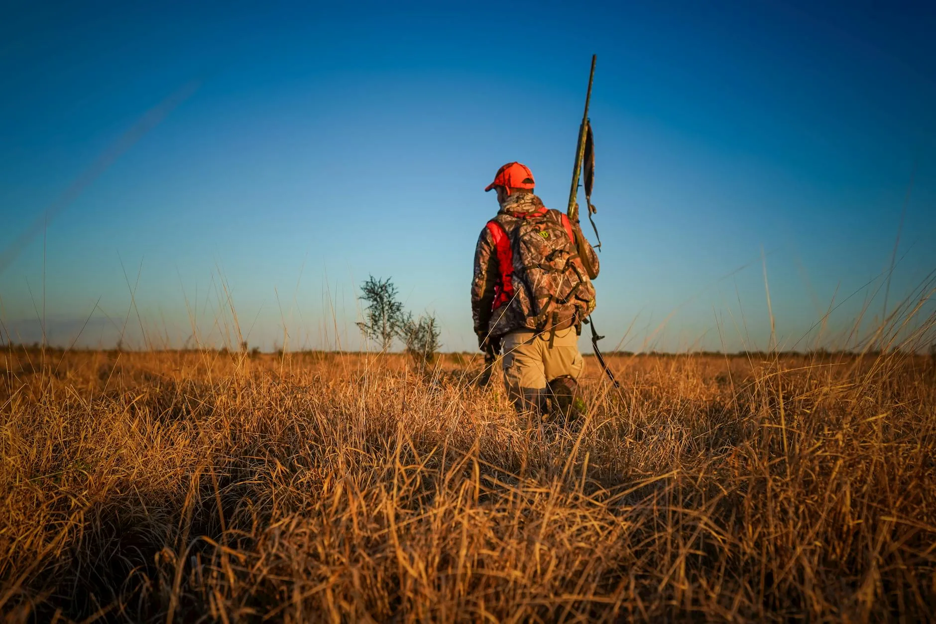 Who Really Pays for Montana Public Land Access: The Numbers Hunters Need to Know