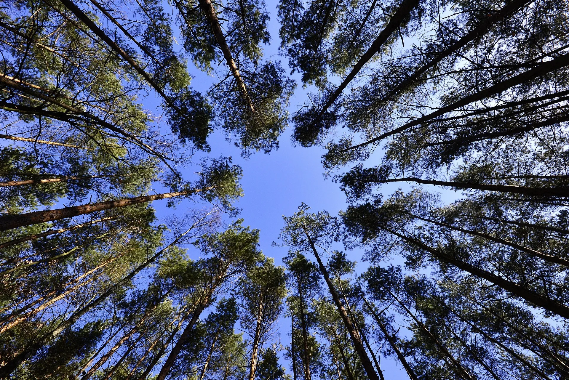 Updated Time for Superior Ranger Station Forest Plan Revision Meeting