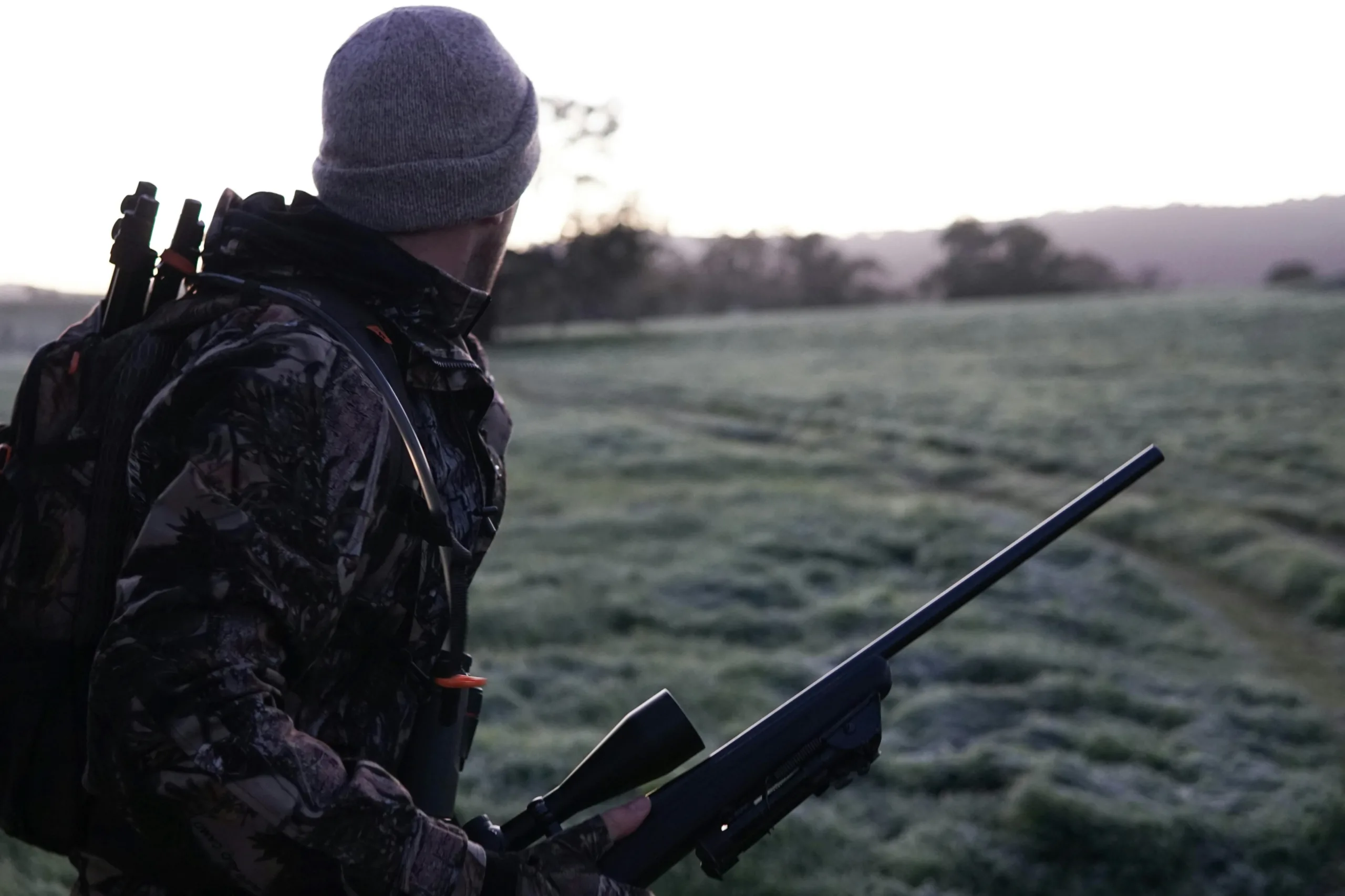 Wisconsin Hunter Lost 10 Years: What Montana Poaching Actually Costs