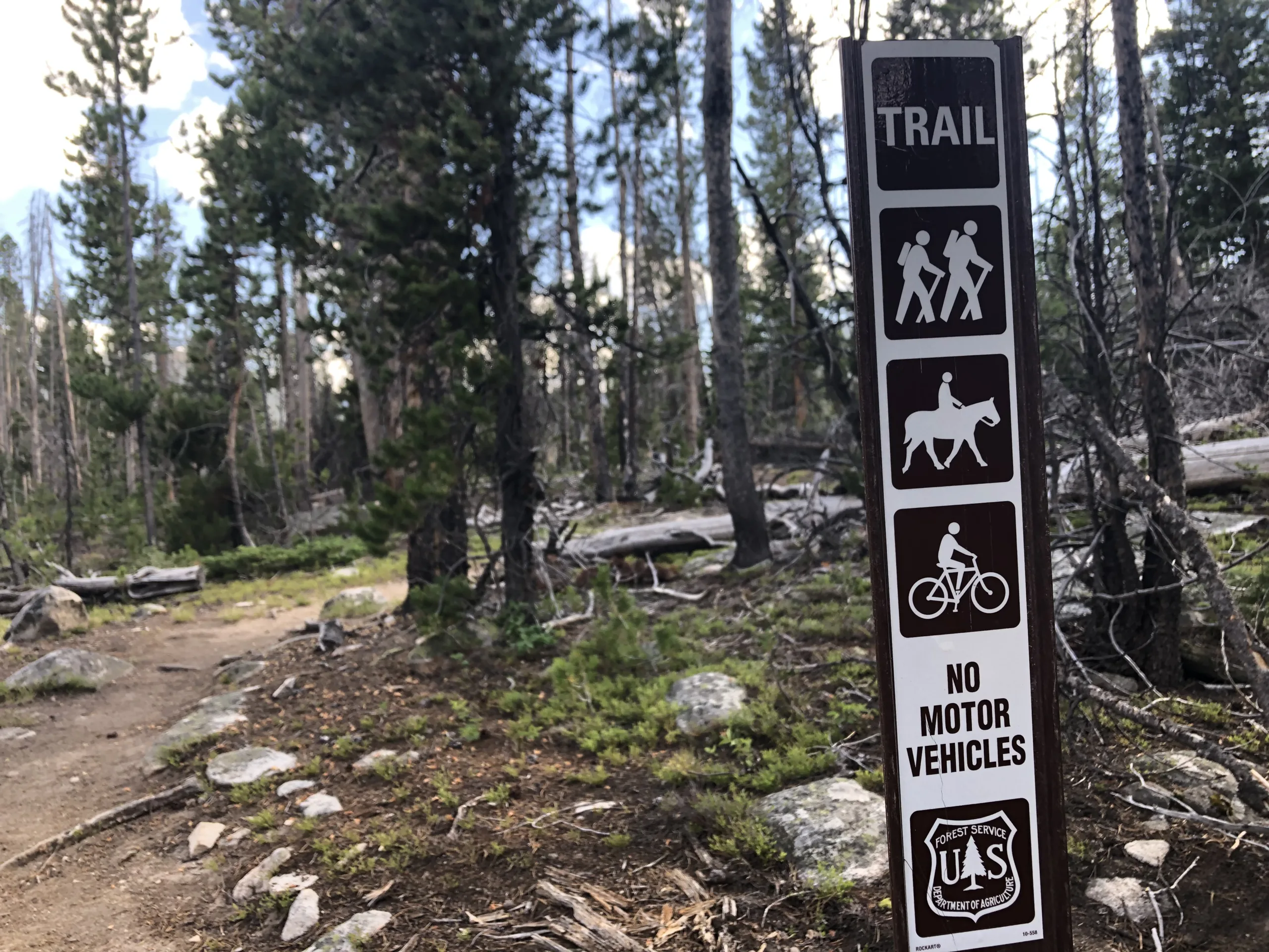 Forest Service debuts new recreation mobile app